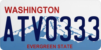 WA license plate ATV0333
