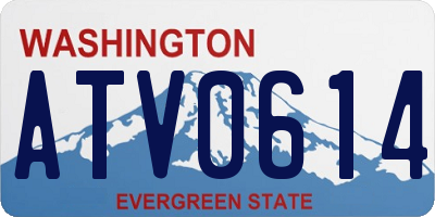 WA license plate ATV0614