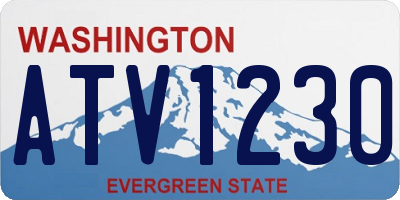 WA license plate ATV1230