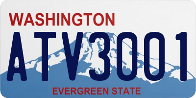 WA license plate ATV3001