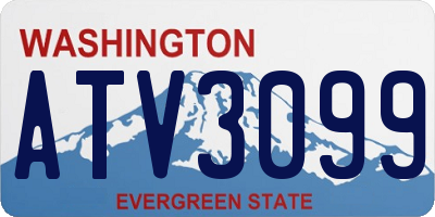 WA license plate ATV3099