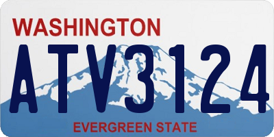 WA license plate ATV3124