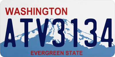WA license plate ATV3134