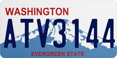 WA license plate ATV3144
