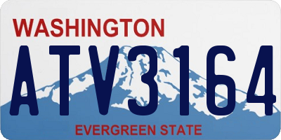 WA license plate ATV3164