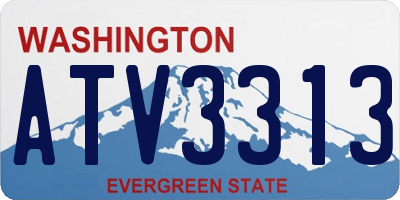 WA license plate ATV3313
