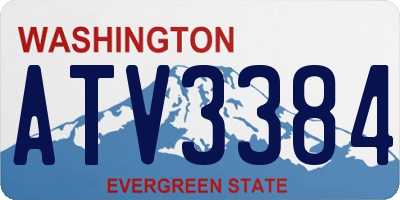 WA license plate ATV3384