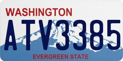 WA license plate ATV3385
