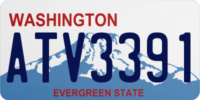 WA license plate ATV3391