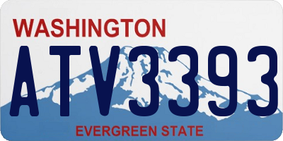WA license plate ATV3393