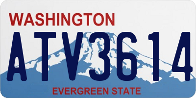 WA license plate ATV3614