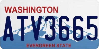 WA license plate ATV3665