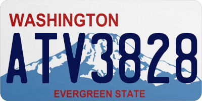 WA license plate ATV3828