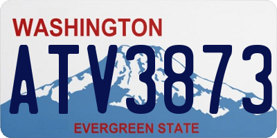 WA license plate ATV3873
