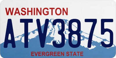 WA license plate ATV3875