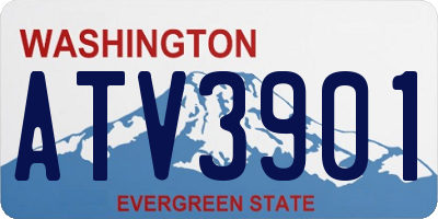 WA license plate ATV3901