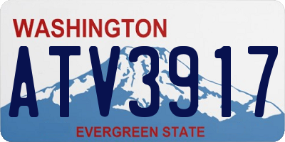 WA license plate ATV3917