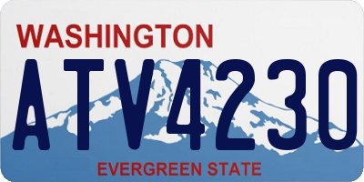 WA license plate ATV4230
