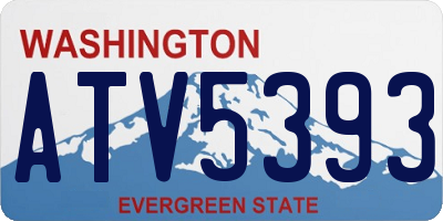WA license plate ATV5393
