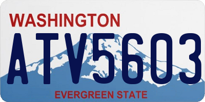 WA license plate ATV5603