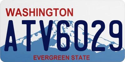 WA license plate ATV6029