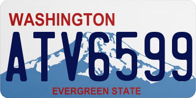 WA license plate ATV6599