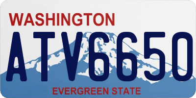 WA license plate ATV6650