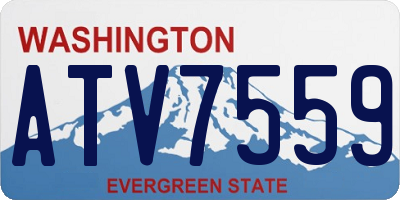 WA license plate ATV7559