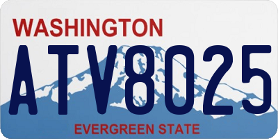 WA license plate ATV8025