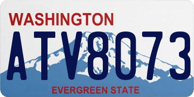 WA license plate ATV8073