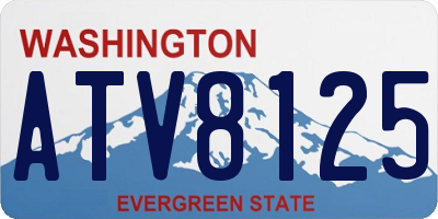 WA license plate ATV8125