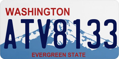 WA license plate ATV8133