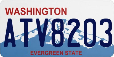 WA license plate ATV8203