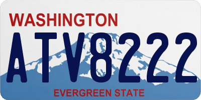 WA license plate ATV8222