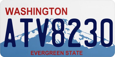 WA license plate ATV8230