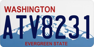 WA license plate ATV8231