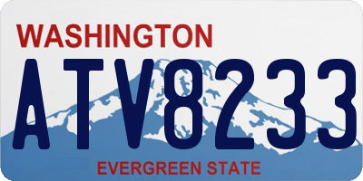 WA license plate ATV8233