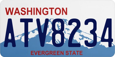 WA license plate ATV8234