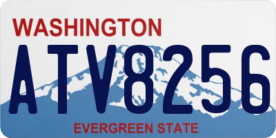 WA license plate ATV8256