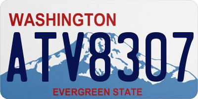 WA license plate ATV8307