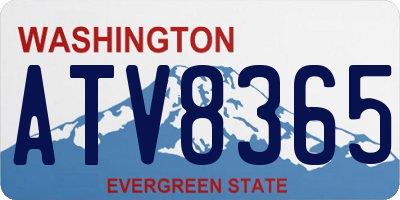 WA license plate ATV8365