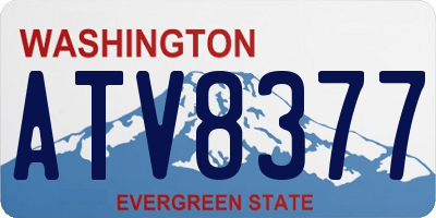 WA license plate ATV8377