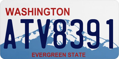 WA license plate ATV8391