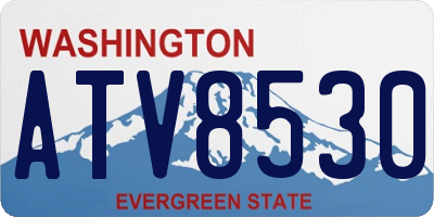 WA license plate ATV8530