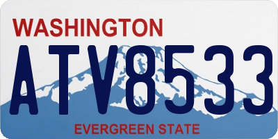 WA license plate ATV8533