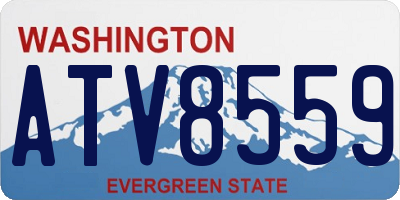 WA license plate ATV8559