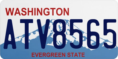 WA license plate ATV8565