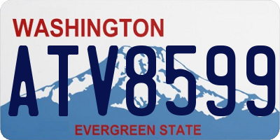 WA license plate ATV8599