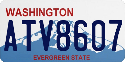 WA license plate ATV8607