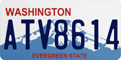 WA license plate ATV8614